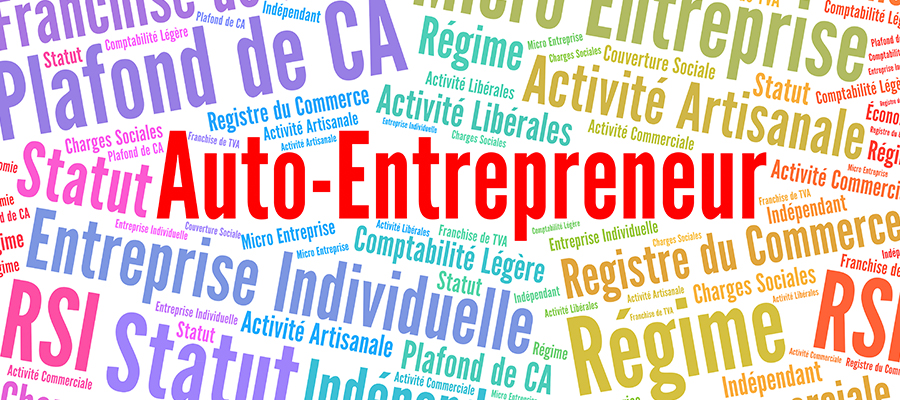 statut d auto entrepreneur